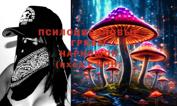 амф Переславль-Залесский