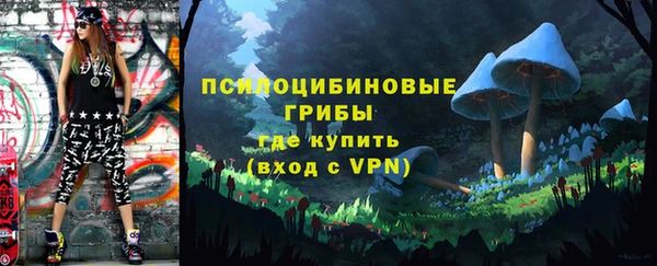 дурь Пересвет