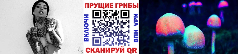 Псилоцибиновые грибы Cubensis  hydra как войти  Котельниково  дарнет шоп 
